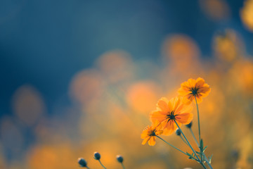 上海一医生跟腱断裂4天后绑支具站着做两台手术是怎么回事？