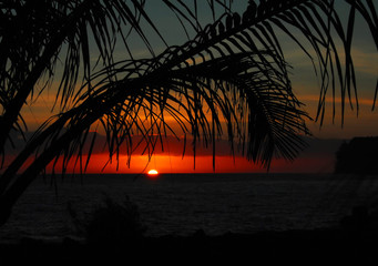 七年级上册历史资料（人教版）