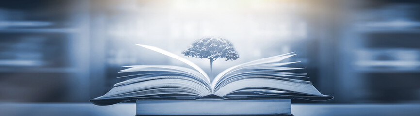 四年级下册品德如何避免冲突升级