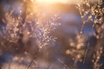 b级车排名前十名的车是什么？