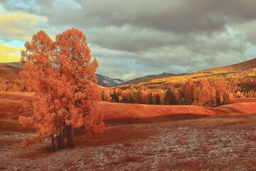 七年级人教版历史知识点归纳