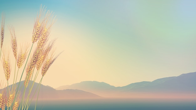 外星人真的存在吗？