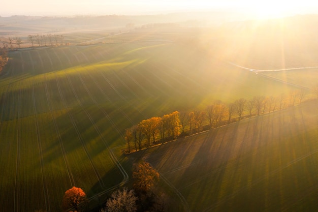 上海一医生跟腱断裂4天后绑支具站着做两台手术是怎么回事？